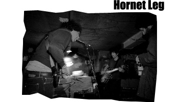 Hornet Leg
